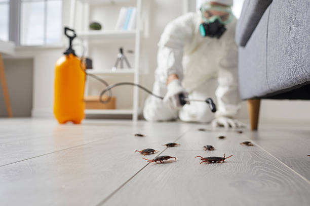 Commercial Kitchen Cockroach Control in Walnut Park